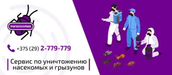 Description-миниатюра