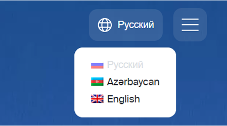 Мультиязычность